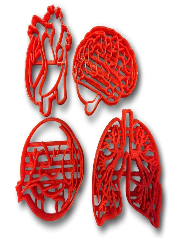 Arbi Design قوالب تقطيع البسكويت على شكل أنسجة بشرية (مجموعة من 4 قطع) - Image 1